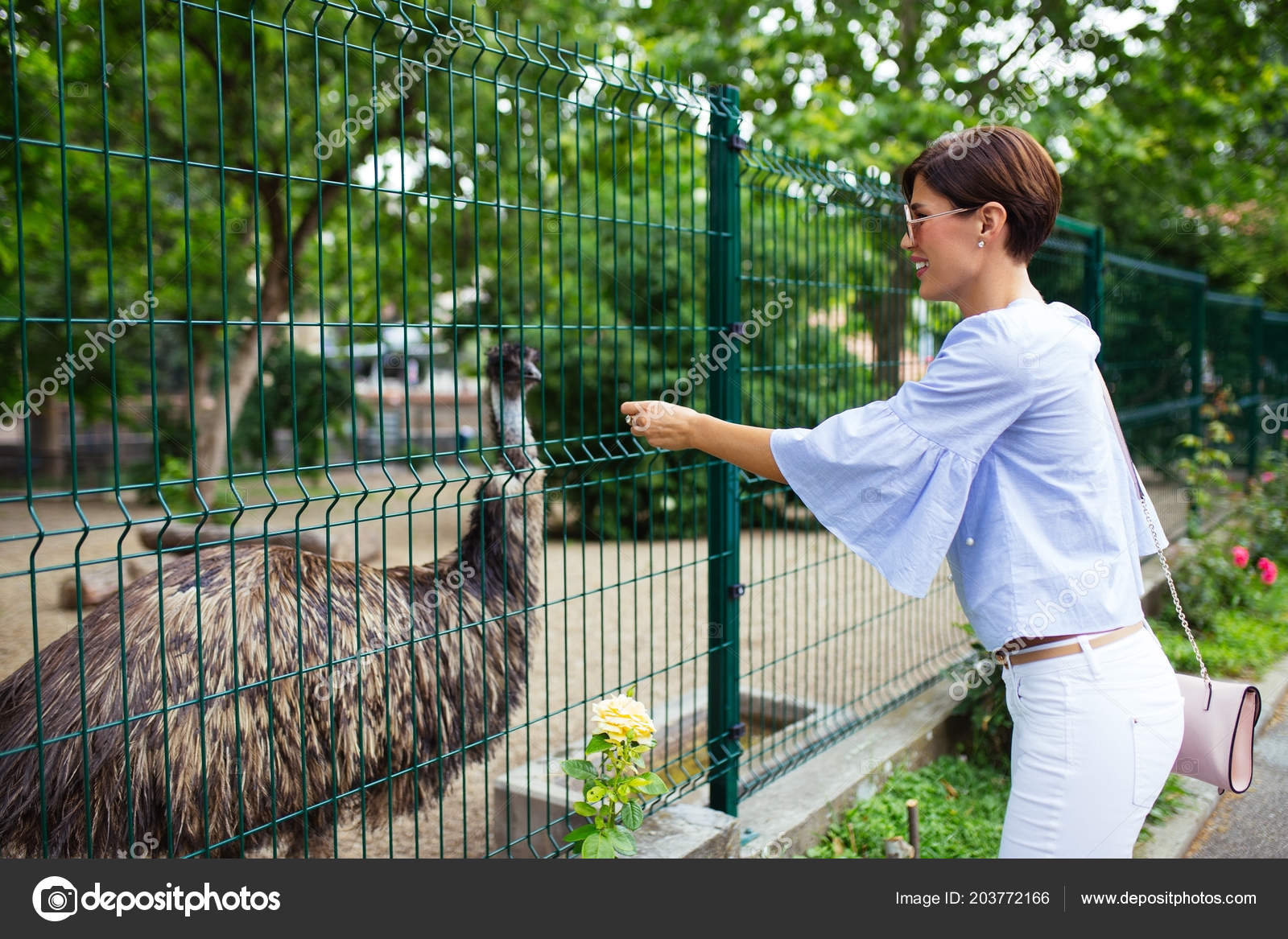 動物園で美しい女性 ストック写真 C Nenadovicphoto Gmail Com 動物園で美しい女性 ストック写真 C Nenadovicphoto Gmail Com