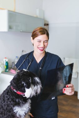 Köpek yanında duran ve x ışını köpek Image'da seyir veteriner