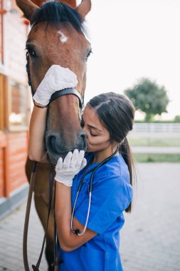 Bir at açık havada çiftlikte sarılma veteriner. 