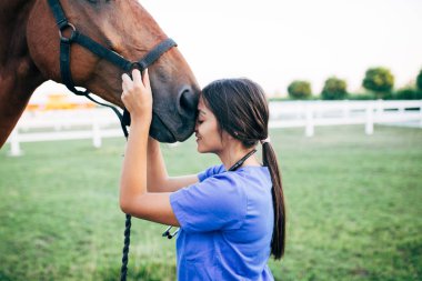 Bir at açık havada çiftlikte sarılma veteriner. 