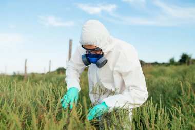 Tarım ilaçlama - koruyucu iş genç işçi giymek kontrol meyve plantasyon büyüyen.