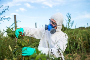Tarım ilaçlama - koruyucu iş genç işçi giymek kontrol meyve plantasyon büyüyen.