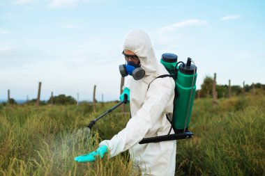 Agriculture pest control - Worker in protective workwear in weed control and spraying ambrosia on field.  clipart