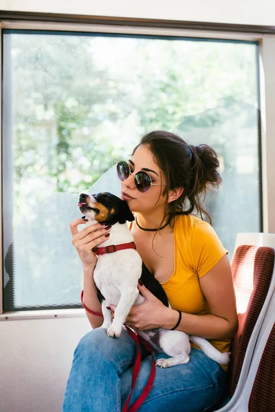 Модна Молода Дівчина Собакою Міському Автобусі — стокове фото