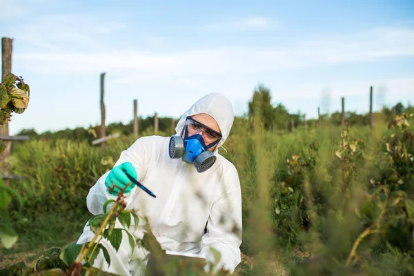 Agricoltura Lotta Contro Parassiti Giovane Lavoratore Condizioni Lavoro Protettive Usura — Foto Stock