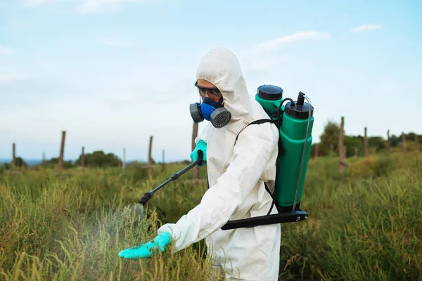 農業害虫駆除 雑草防除やフィールドにアンブロシアをスプレーで防護作業服の労働者 — ストック写真