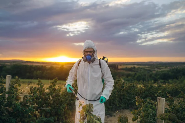 Controlul Dăunătorilor Agricoli Tineri Lucrători Care Dețin Pulverizator Pentru Pulverizarea — Fotografie, imagine de stoc