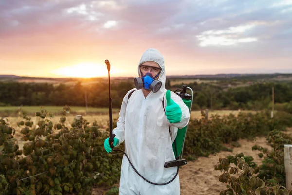 Agriculture Pest Control Young Worker Holding Sprayer Spraying Organic Pesticides — Stock Photo, Image