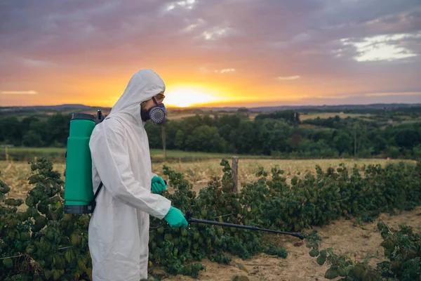 農業害虫制御 日没時に果樹農園の有機農薬を散布用噴霧器を保持している若年労働者 — ストック写真