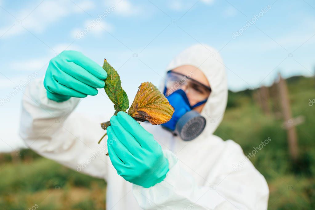 Agriculture pest control - Young worker in protective work wear checking fruit growing plantation.