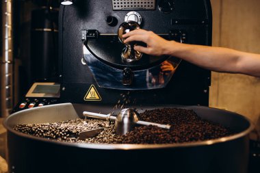 Freshly roasted coffee beans pouring from a large coffee roaster into the cooling cylinder. clipart