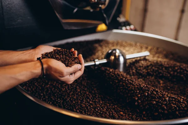 Nyrostade Kaffebönor Hälla Från Stor Kaffe Kafferostningsföretagen Kyla Cylindern — Stockfoto