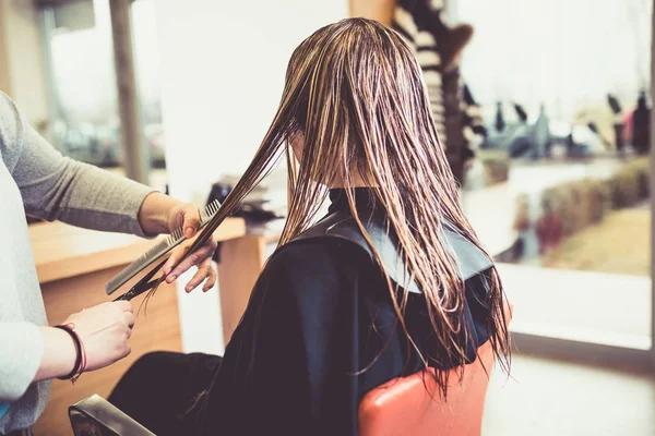 Close-up of a woman in hair salon getting her hair cut by the hairdresser.