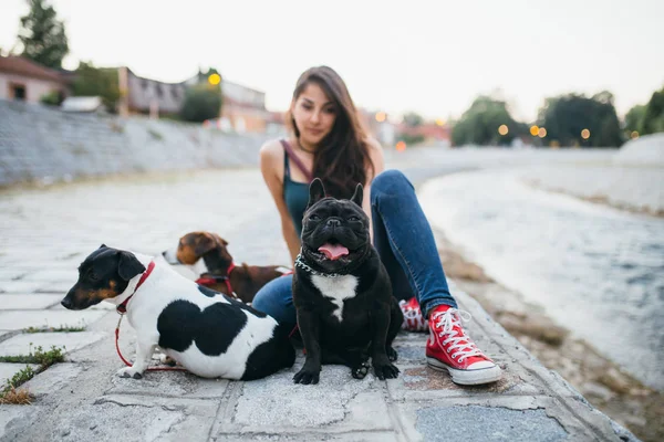 Dog Walker Met Honden Genieten Van Buiten Naast Rivier Stad — Stockfoto