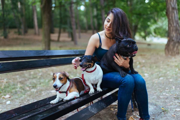 公園で楽しんで犬と一緒に犬の散歩 — ストック写真