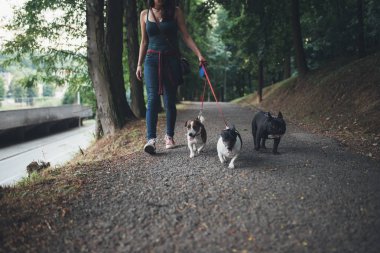 Köpek bakıcısı köpek parkında zevk ile. 