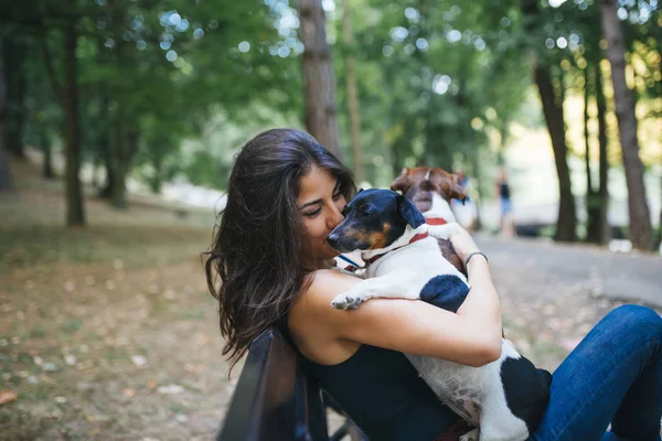 Caminhante Cães Com Cães Desfrutando Parque — Fotografia de Stock