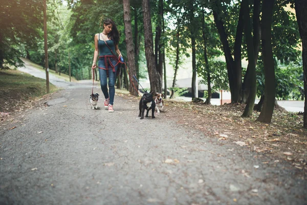 Köpek bakıcısı köpek parkında zevk ile. 