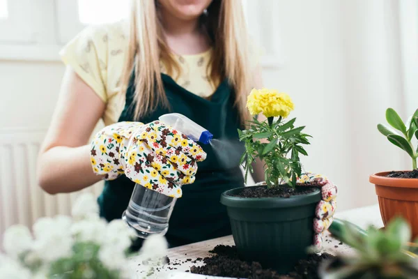 Mujer Plantando Flores Una Olla Nueva Regándolas — Foto de Stock