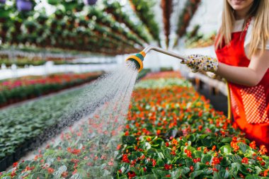 Bahçe merkezinde güzel genç kadın bahçıvan sulama tesisleri.