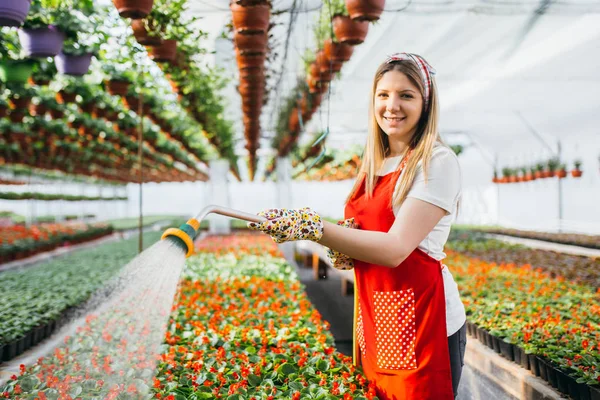 Vacker Ung Kvinna Trädgårdsmästare Vattning Växter Garden Center — Stockfoto