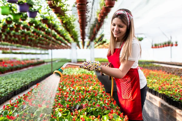 Vacker Ung Kvinna Trädgårdsmästare Vattning Växter Garden Center — Stockfoto