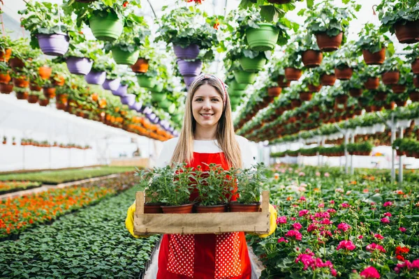 Piękna Młoda Kobieta Pracuje Szklarni — Zdjęcie stockowe