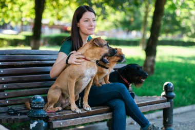 Köpek yürüteç bankta oturan ve köpeklerle parkta zevk.