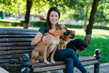 Köpek yürüteç bankta oturan ve köpeklerle parkta zevk. 