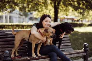 Köpek yürüteç bankta oturan ve köpeklerle parkta zevk. 