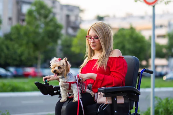 坐在轮椅上的美丽年轻女子与她的狗在户外享受 — 图库照片