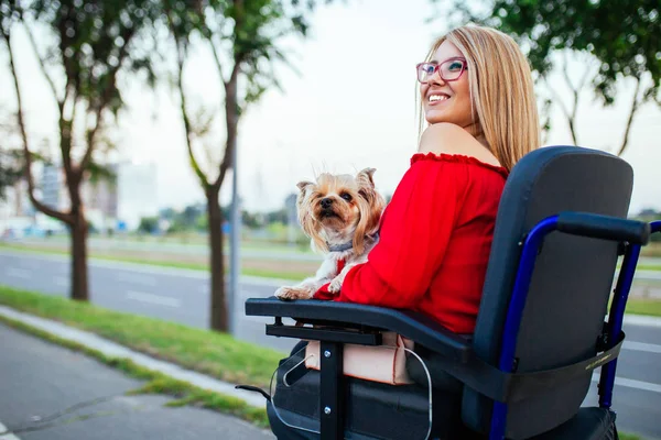 Tekerlekli Sandalyede Güzel Genç Kadın Köpeği Ile Açık Havada Zevk — Stok fotoğraf
