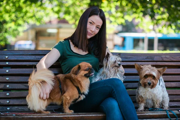 Dog Walker Sitter Bänken Och Njuter Parken Med Hundar — Stockfoto