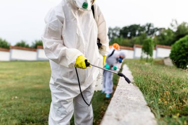 Exterminators outdoors in work wear spraying pesticide with sprayer. clipart
