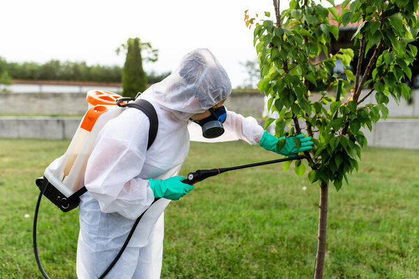 Exterminator outdoors in work wear spraying pesticide with sprayer.