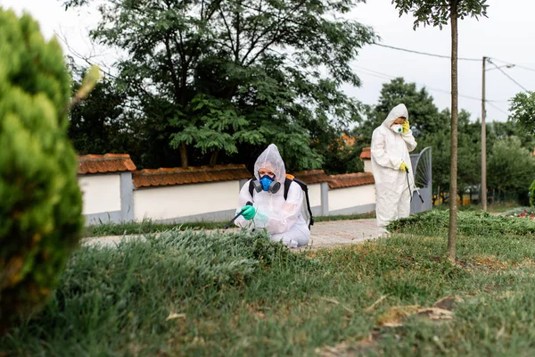 Дезинсекторы Открытом Воздухе Работе Изнашивают Пестициды Распылителем — стоковое фото