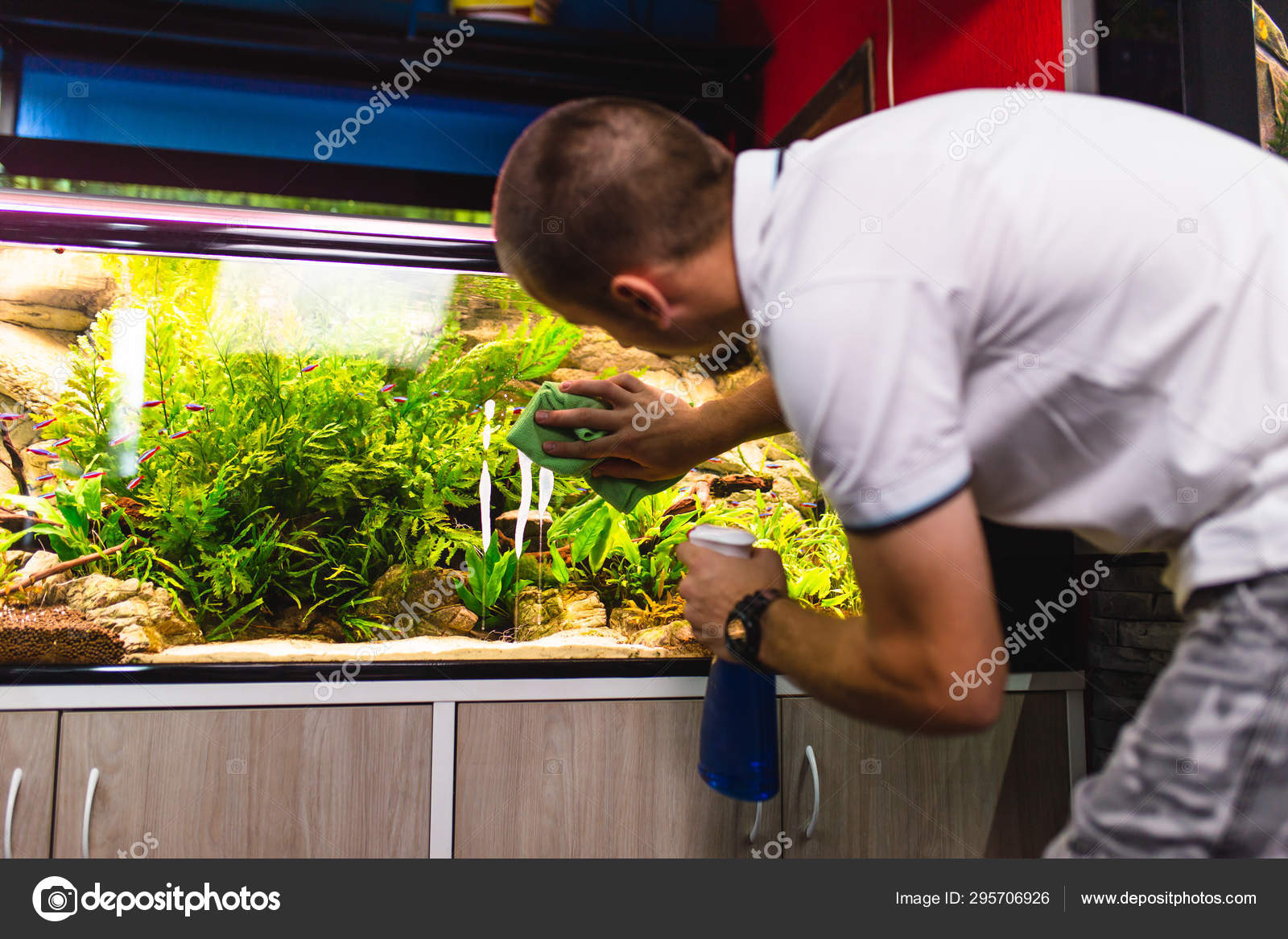 Male Worker Aquarium Shop Cleaning Fish Tenks — Stock Photo