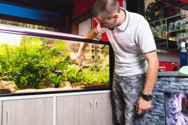 Man cleaning aquarium and cutting underwater plants.  clipart