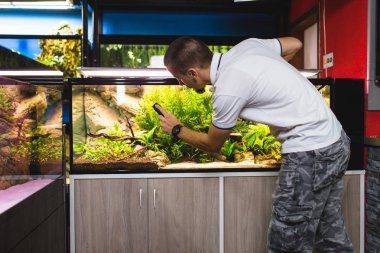 Man cleaning aquarium using magnetic fish tank cleaner. clipart