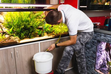 Young man changing water in aquarium using siphon. clipart