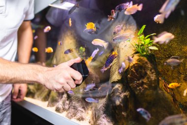 Male worker in aquarium shop cleaning fish tenk. clipart