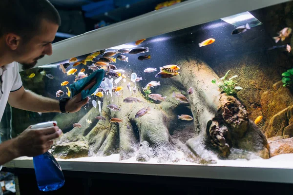 Hombre Trabajador Acuario Tienda Limpieza Pescado Tenks — Foto de Stock