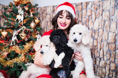 Güzel genç bayan kış tatilini standart kaniş yavrularıyla kutluyor..