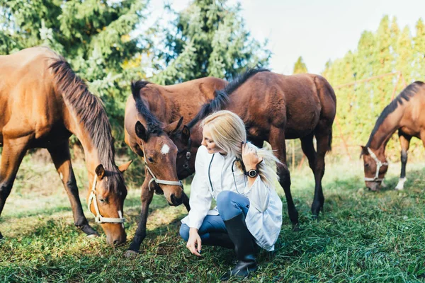 Veterinární Lékař Koňmi Venku Přírodě — Stock fotografie