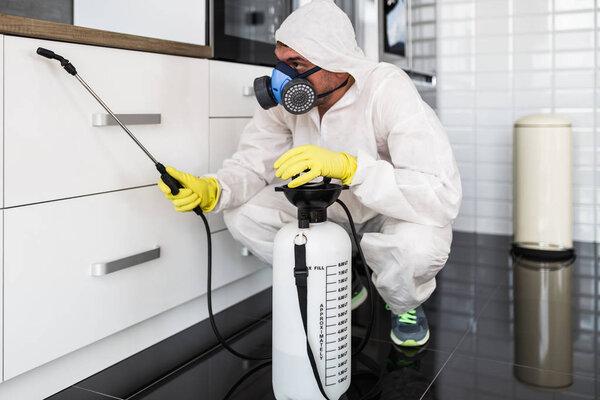 Exterminator in work wear spraying pesticide with sprayer. 