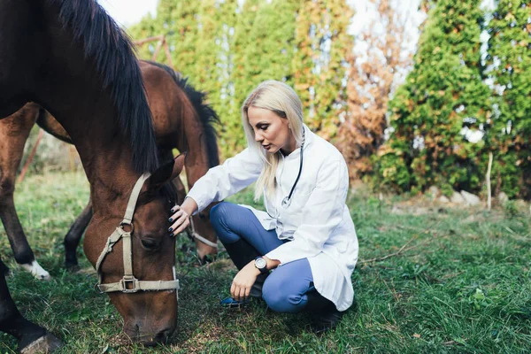 Veterinarian with horses outdoors at ranch.