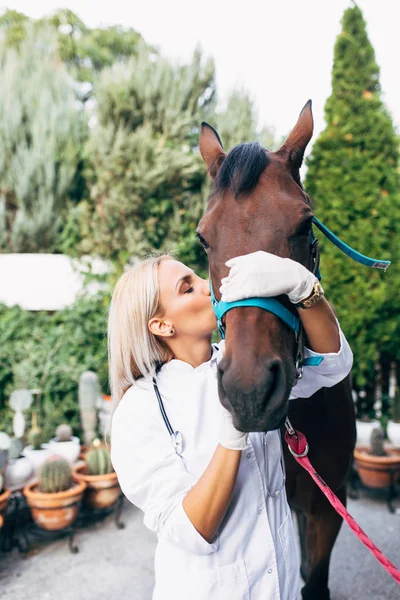 Mladý Veterinární Lékař Vyšetřující Koně — Stock fotografie