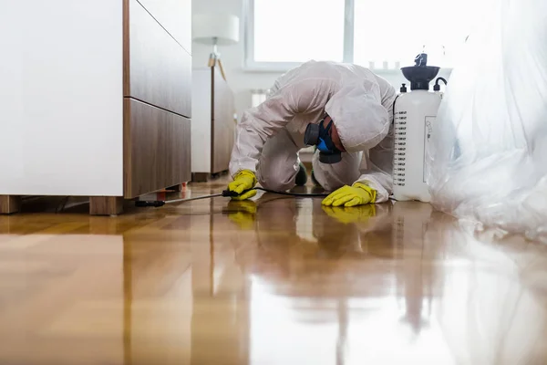 İşteki ilaçlamacı ilaçlama için sprey sıkar.. 