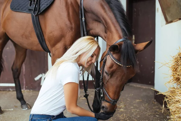 Wanita Pirang Cantik Dokter Hewan Memeriksa Kesehatan Kuda — Stok Foto