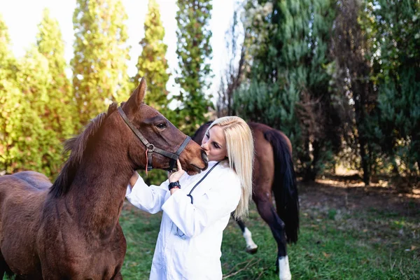 Veterinární Lékař Koňmi Venku Přírodě — Stock fotografie